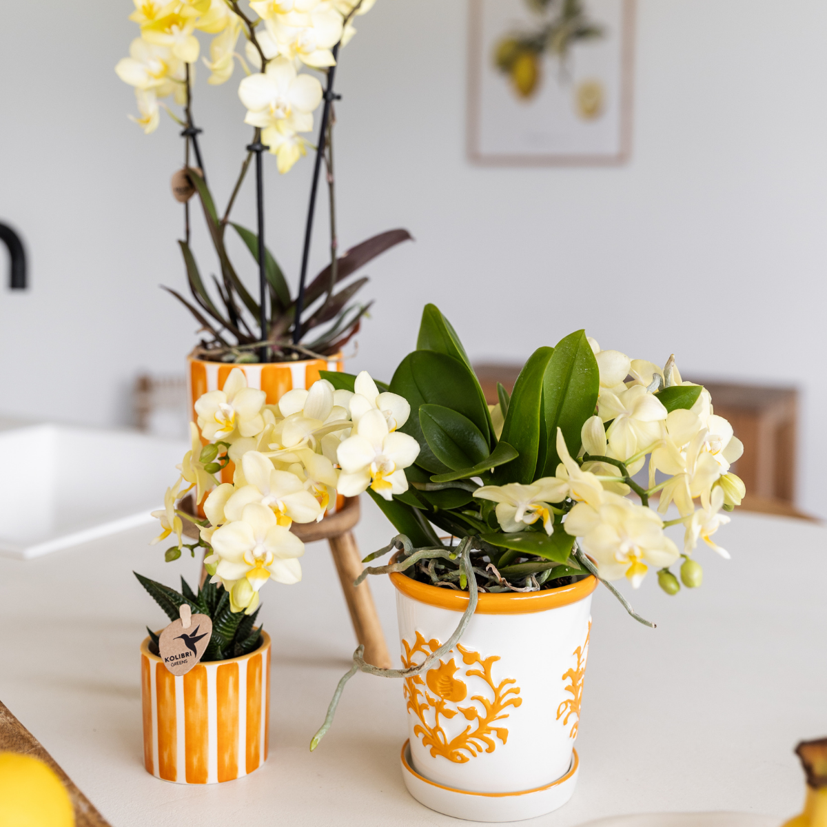 Kolibri Home I Malaga pot - Orange - Ø9cm - Afbeelding 3