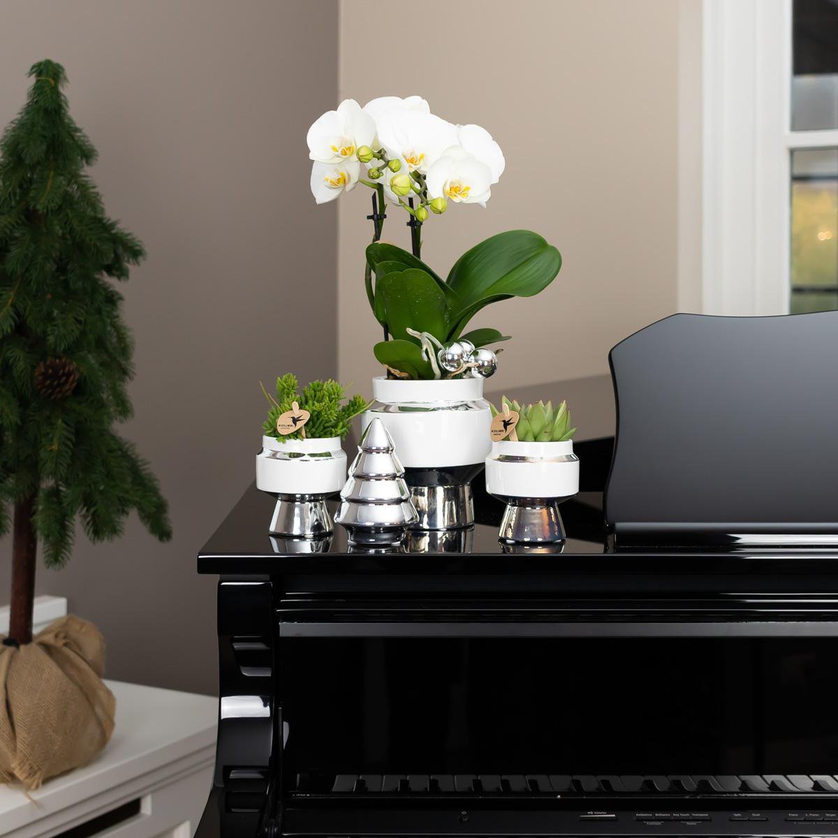 Kolibri Home | Le Chic bloempot - Witte keramieken sierpot met zilveren details - Ø9cm - Afbeelding 3