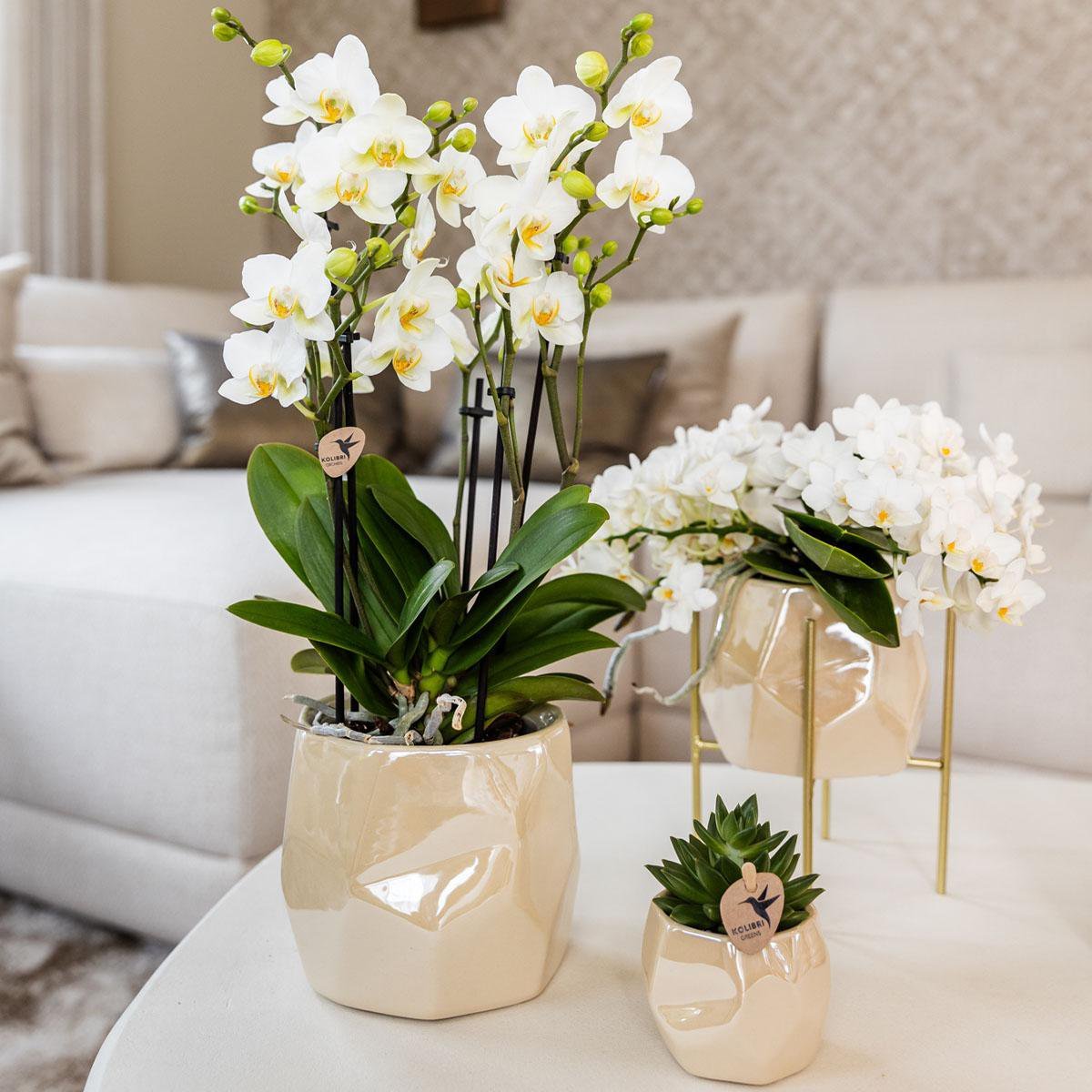 Kolibri Home I Pearl pot - Travertine - Ø12cm - Afbeelding 6