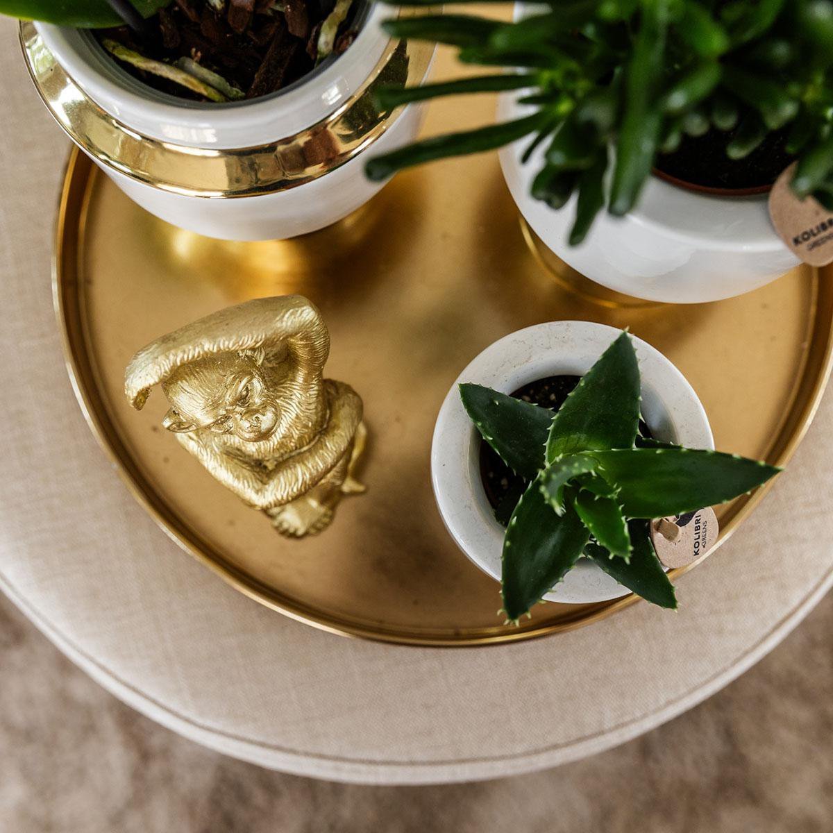 Kolibri Home | Le Chic bloempot - Witte keramieken sierpot met gouden details - Ø6cm - Afbeelding 9