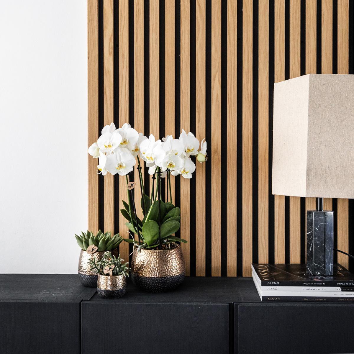 Kolibri Home | Elite pot copper - Ø6cm - Afbeelding 3