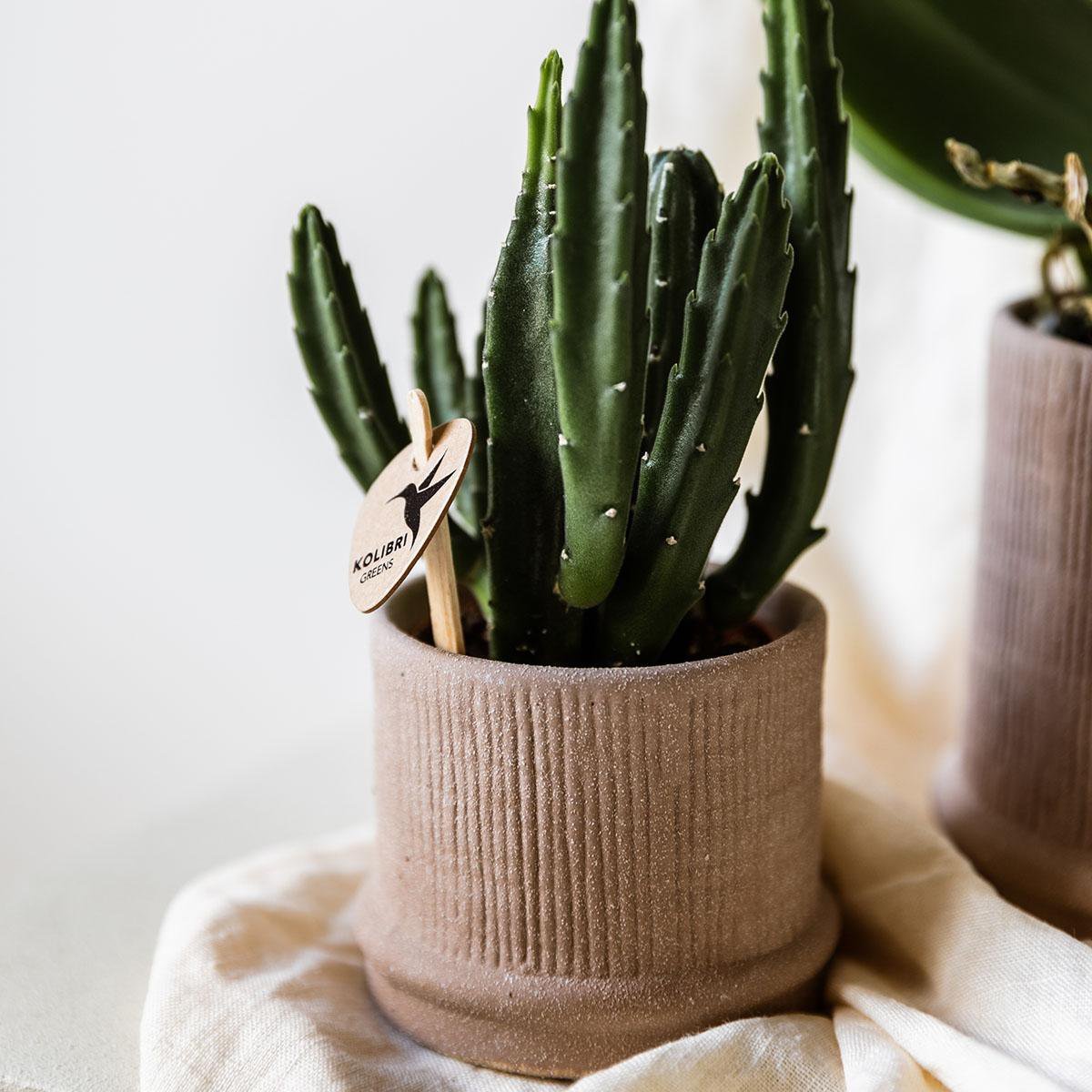 Kolibri Home | Bali sierpot - Sand - Ø6cm - Afbeelding 4