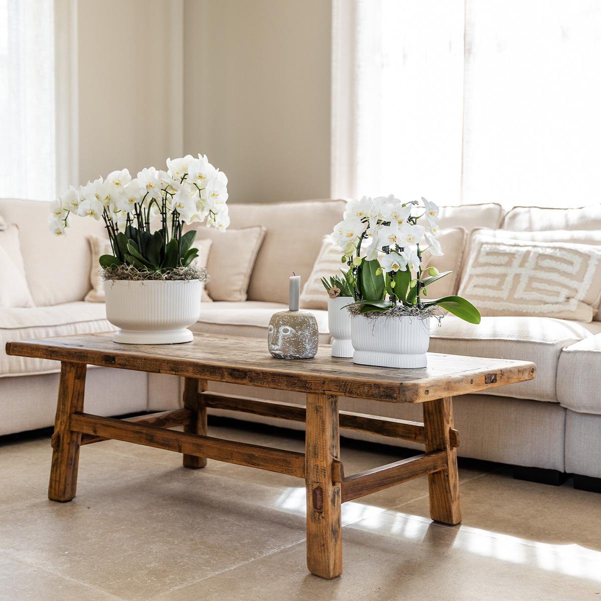 Kolibri Home | Diabolo pot white - Ø9cm - Afbeelding 4