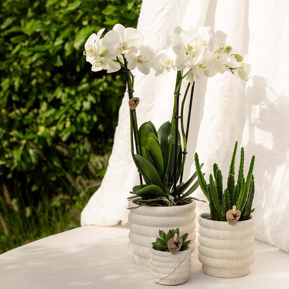 Kolibri Home | Marble pot - Light - Ø6cm - Afbeelding 7