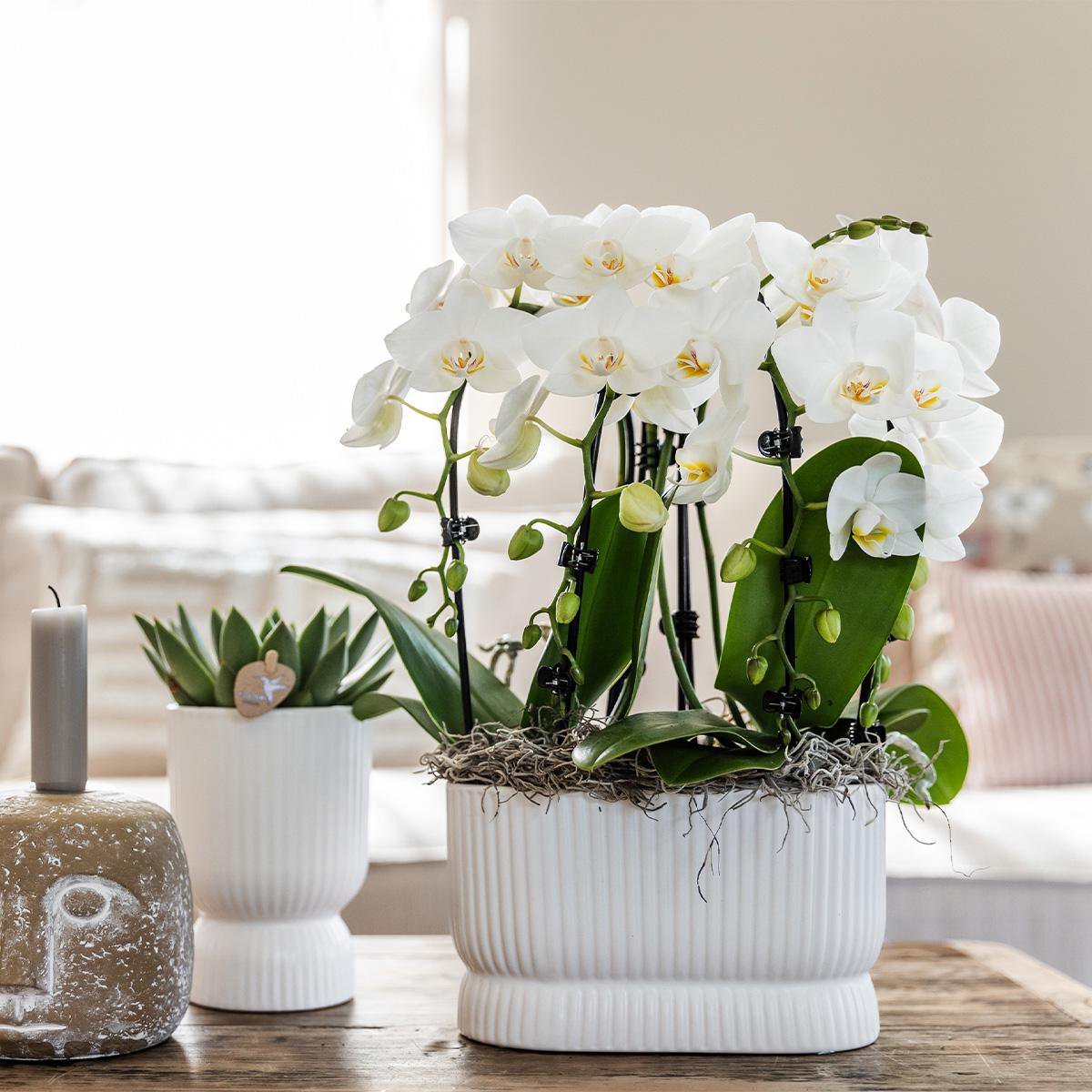 Kolibri Home | Diabolo pot white - Ø9cm - Afbeelding 3