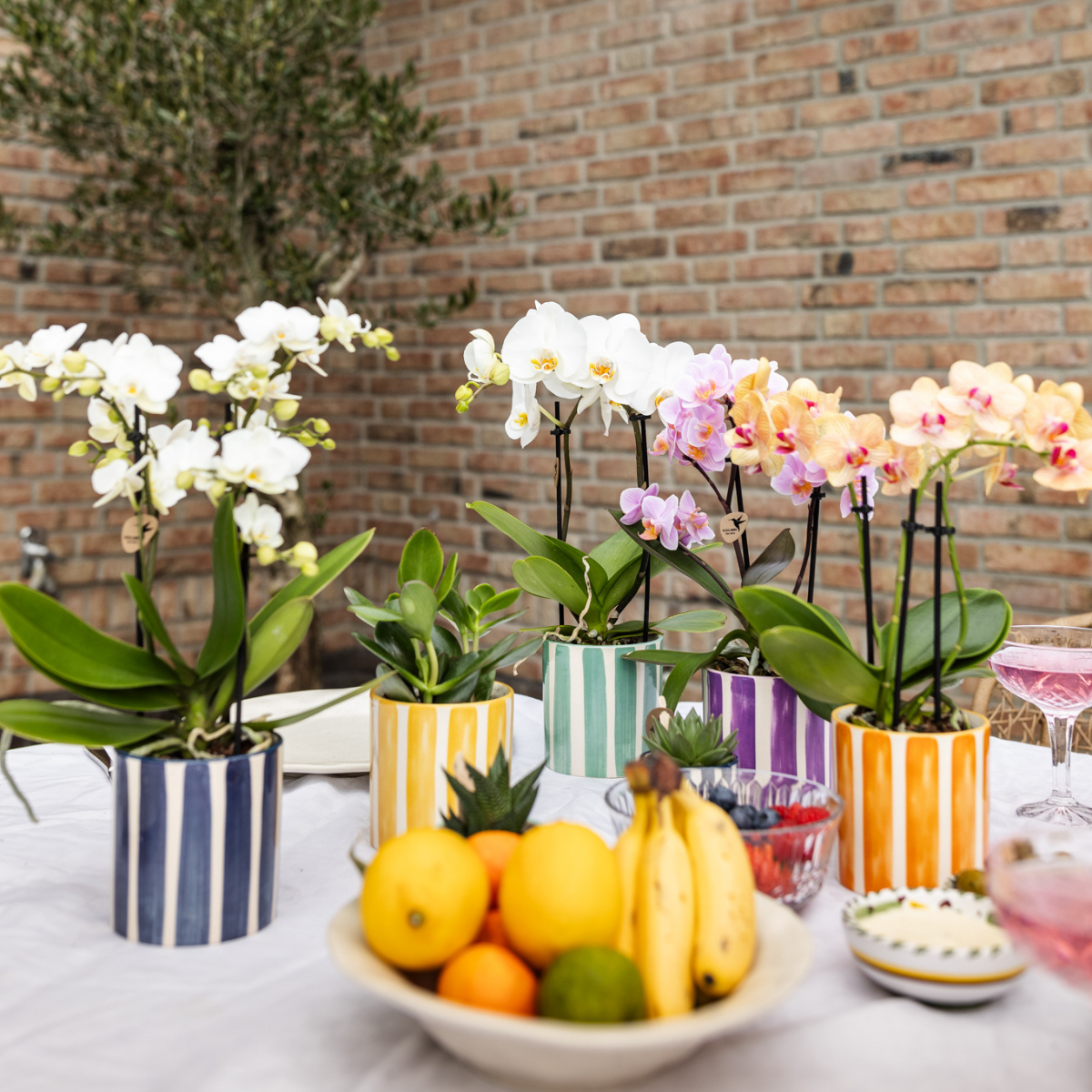 Kolibri Thuis | Geverfde streep - Turkoois - Ø9cm - Afbeelding 3