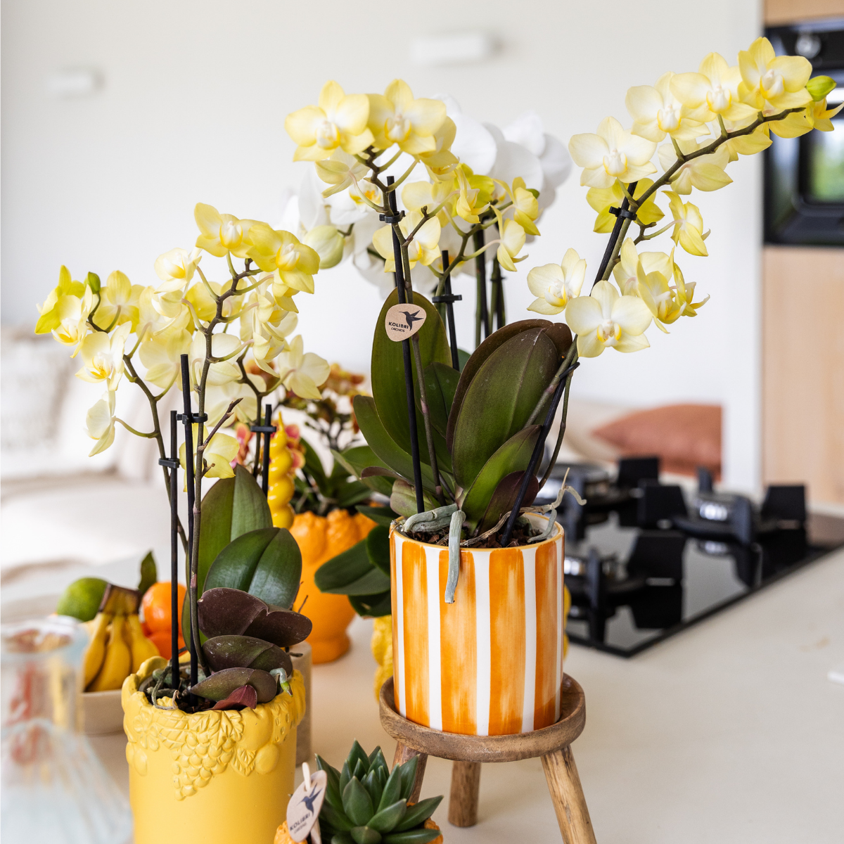 Kolibri Home | Painted stripe - Orange - Ø9cm - Afbeelding 5