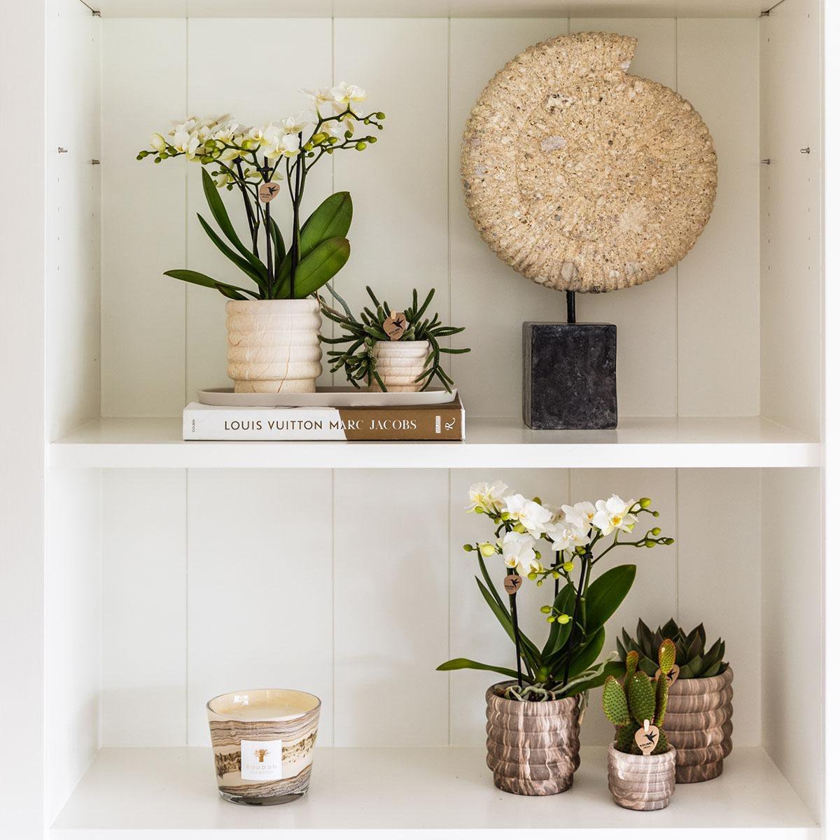 Kolibri Home | Marble pot - Light - Ø6cm - Afbeelding 4