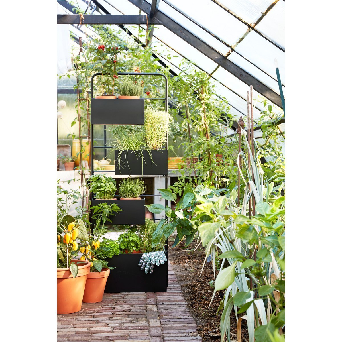 Dani Plantenrek - L37 x B38 x H160 cm - Metaal - Zwart - Afbeelding 6