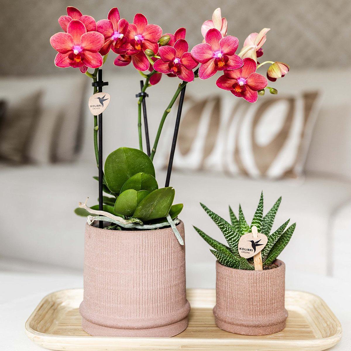 Kolibri Home | Bali sierpot - Sand - Ø6cm - Afbeelding 9