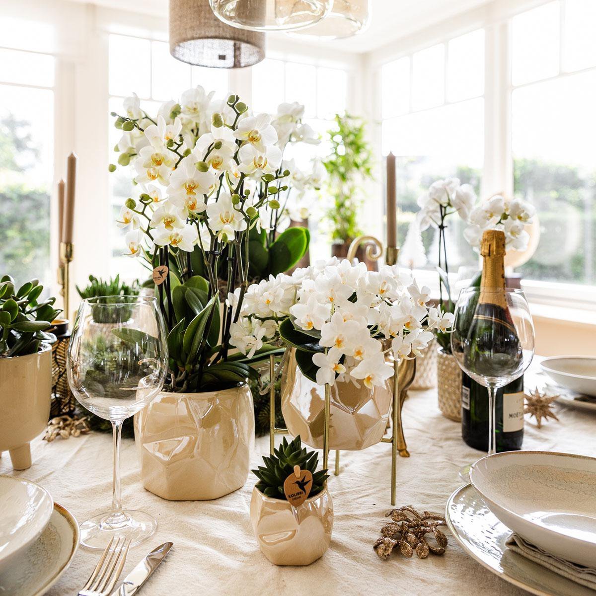 Kolibri Home I Pearl pot - Travertine - Ø12cm - Afbeelding 8