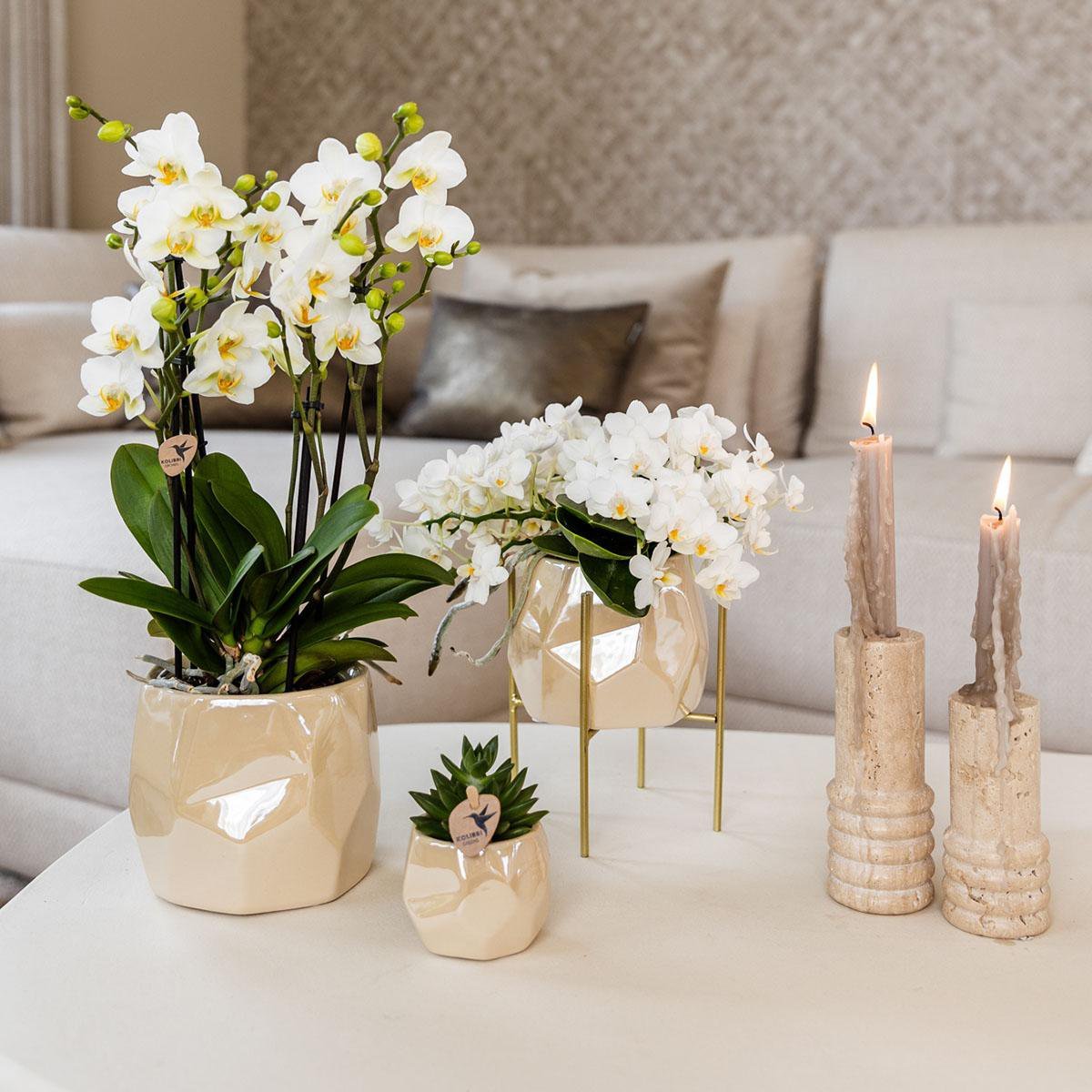 Kolibri Home I Pearl pot - Travertine - Ø12cm - Afbeelding 4