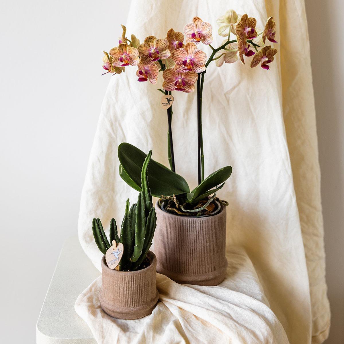 Kolibri Home | Bali sierpot - Sand - Ø6cm - Afbeelding 8