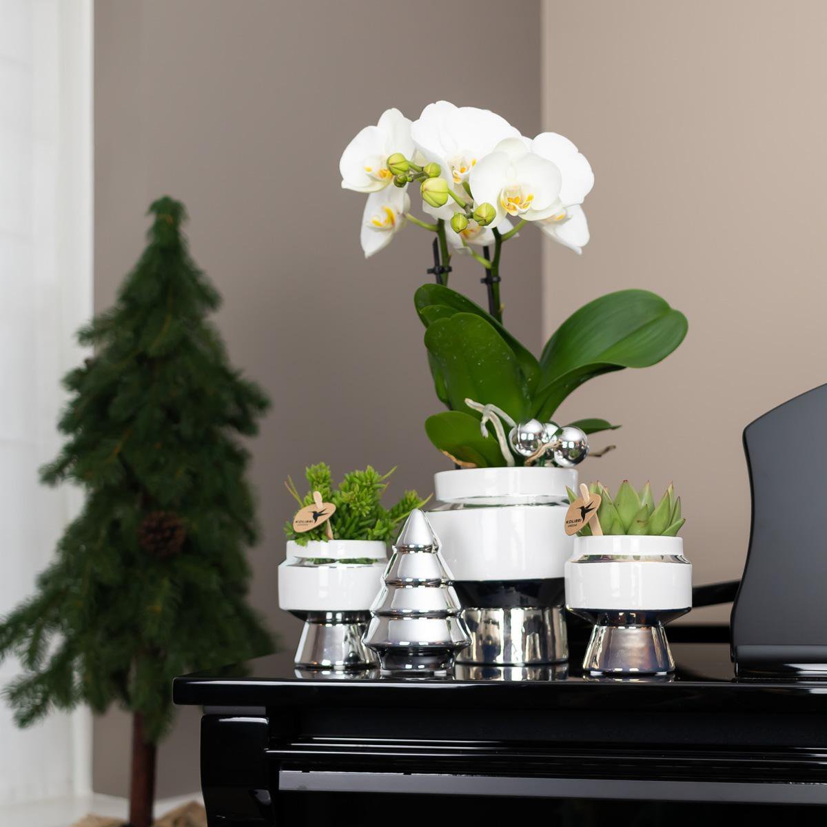 Kolibri Home | Le Chic bloempot - Witte keramieken sierpot met zilveren details - Ø9cm - Afbeelding 4