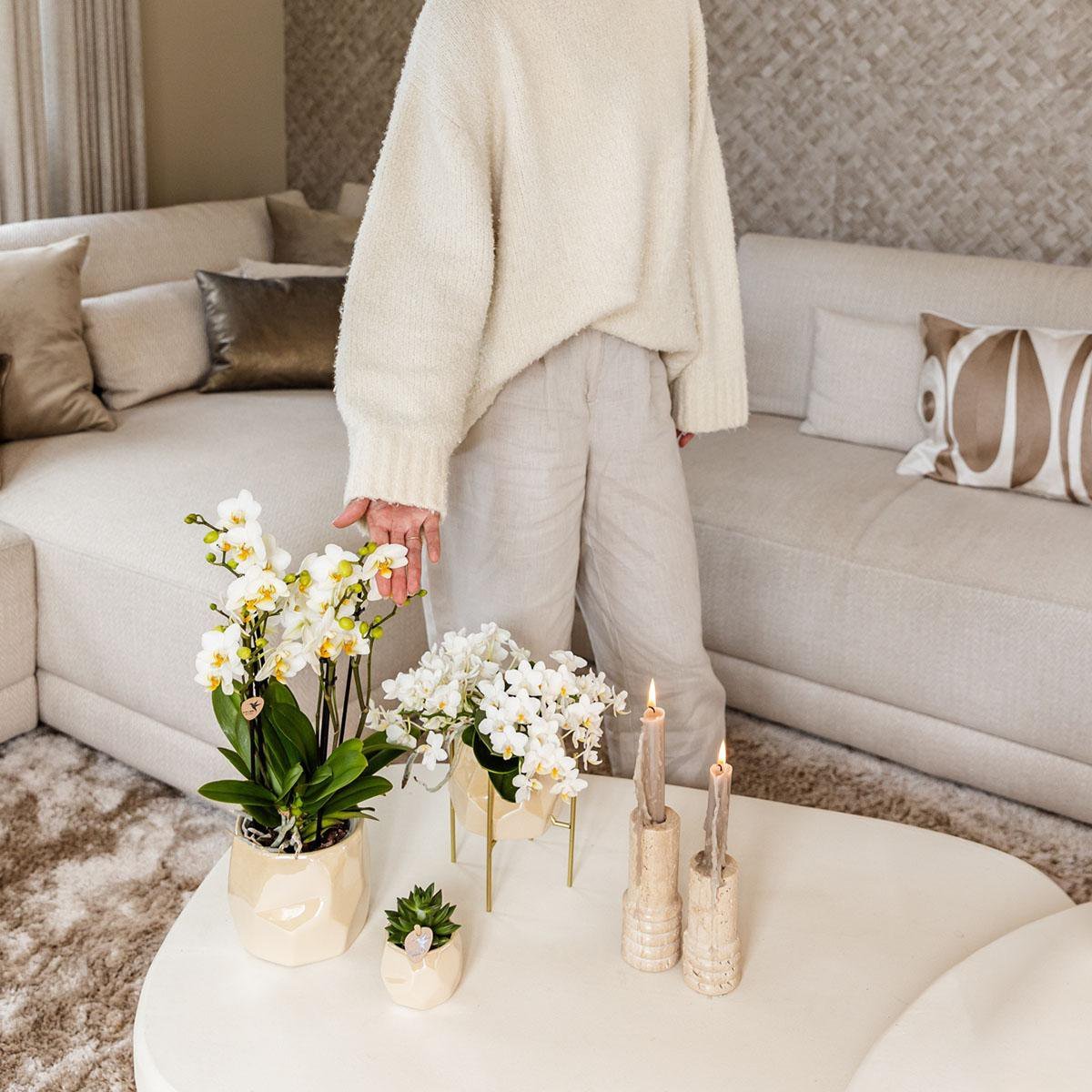 Kolibri Home I Pearl pot - Travertine - Ø12cm - Afbeelding 3