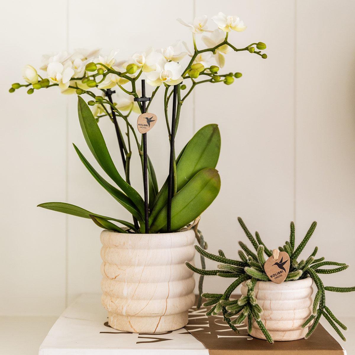 Kolibri Home | Marble pot - Light - Ø6cm - Afbeelding 3