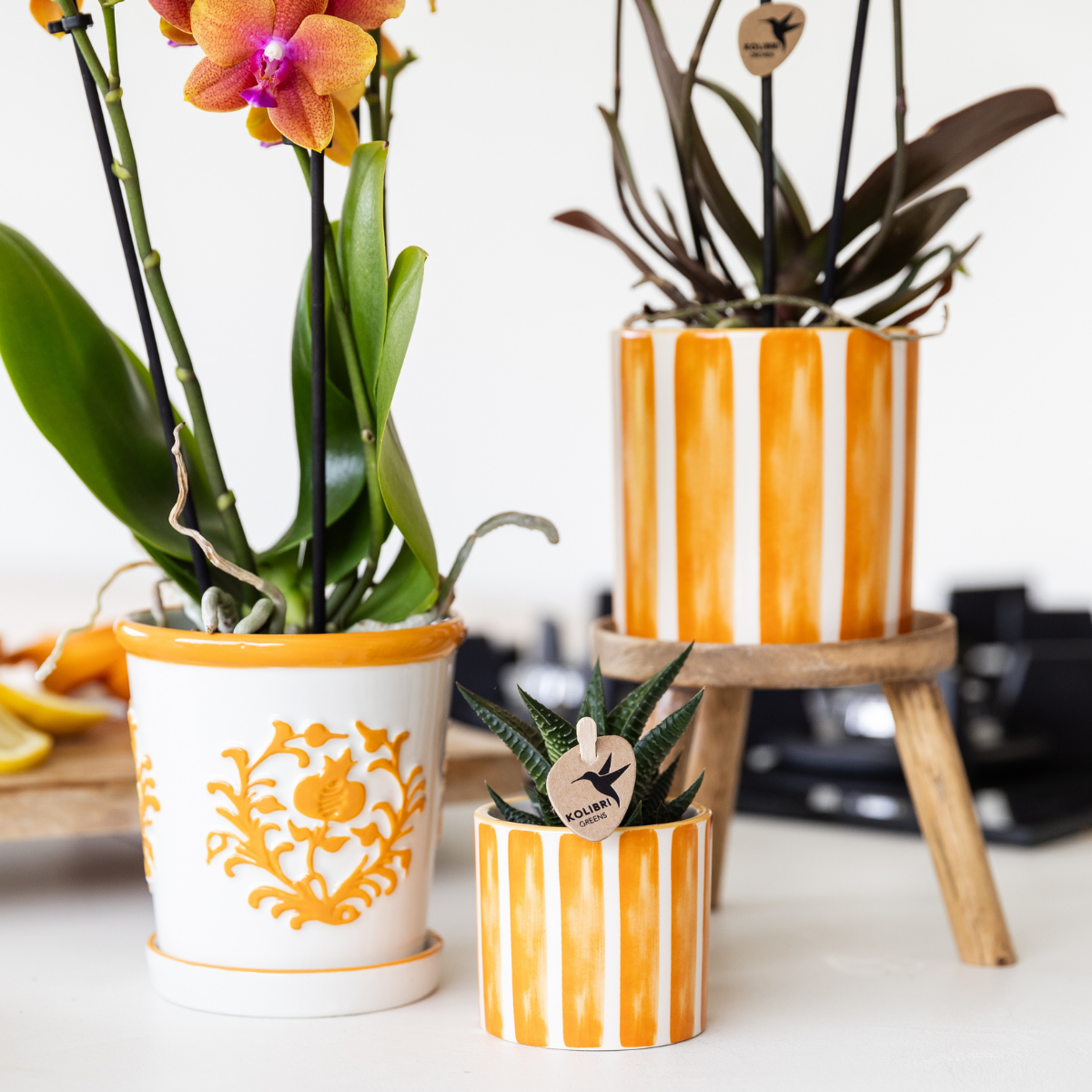 Kolibri Home | Painted stripe - Orange - Ø6cm - Afbeelding 3