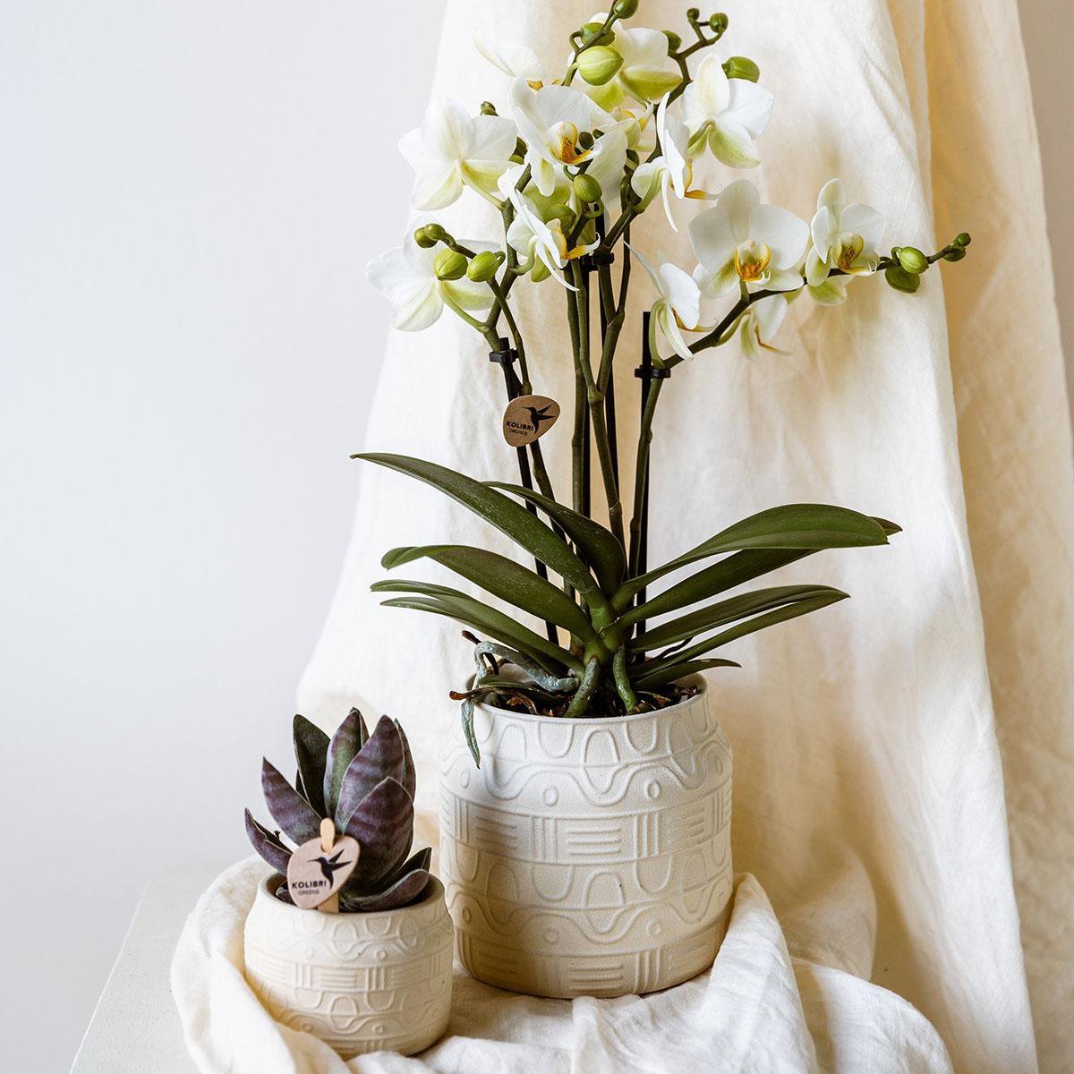 Kolibri Home | Hieroglyph sierpot - Off White - Ø9cm - Afbeelding 4