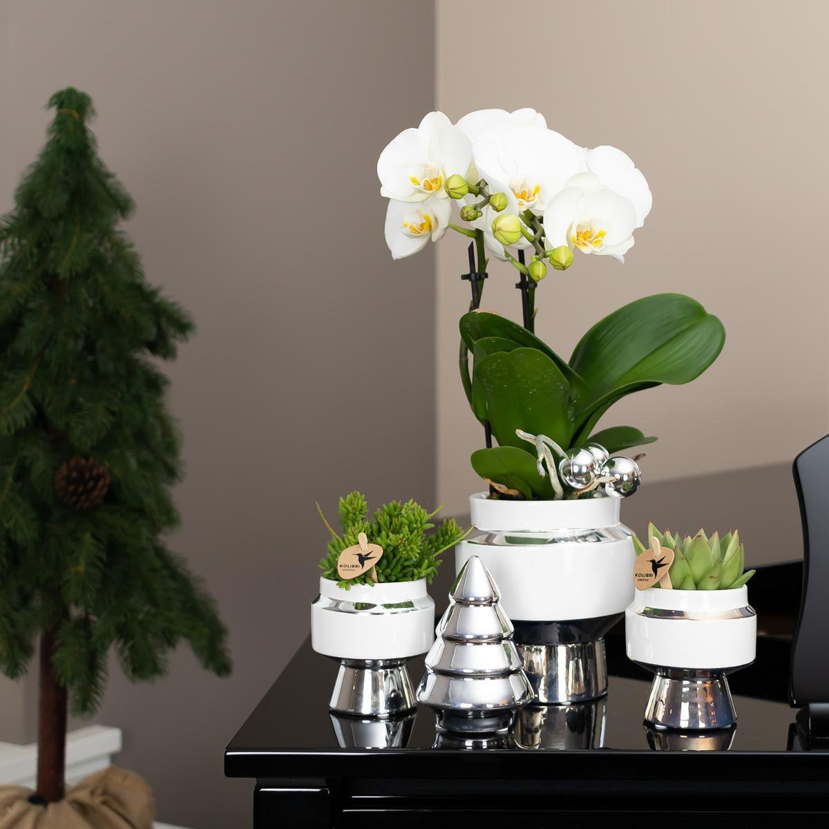 Kolibri Home | Le Chic bloempot - Witte keramieken sierpot met zilveren details - Ø6cm - Afbeelding 3