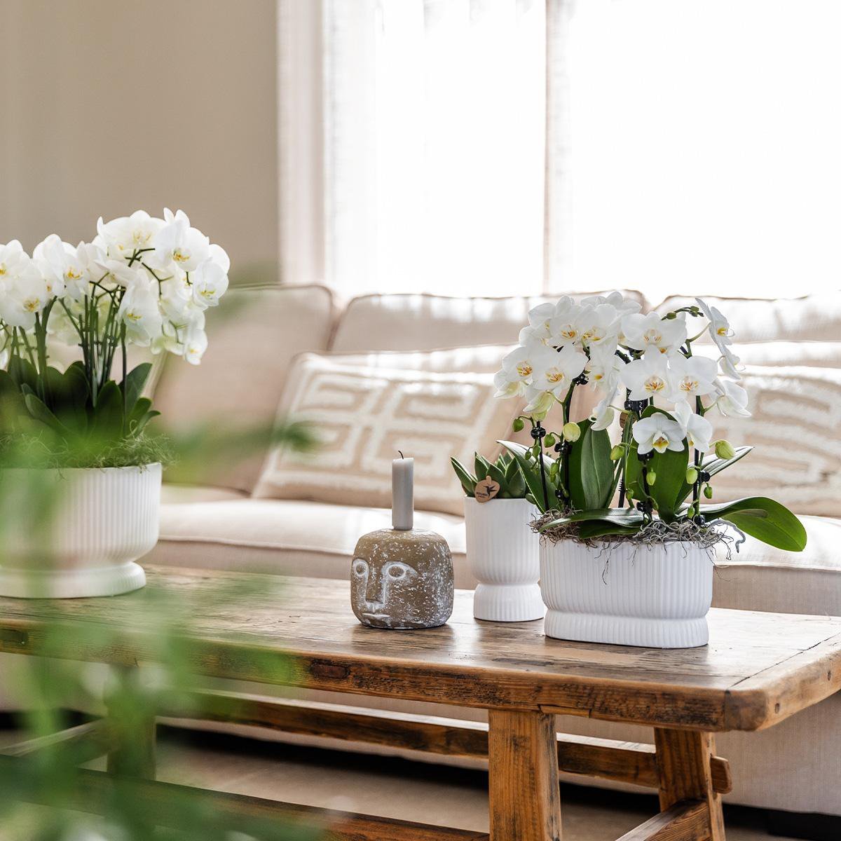 Kolibri Home | Diabolo pot white - Ø12cm - Afbeelding 3