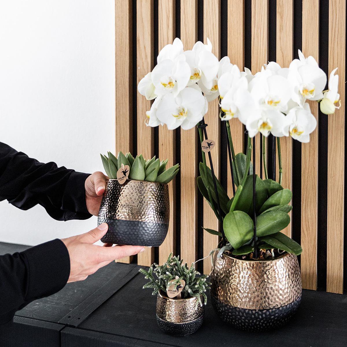 Kolibri Home | Elite pot copper - Ø12cm - Afbeelding 3