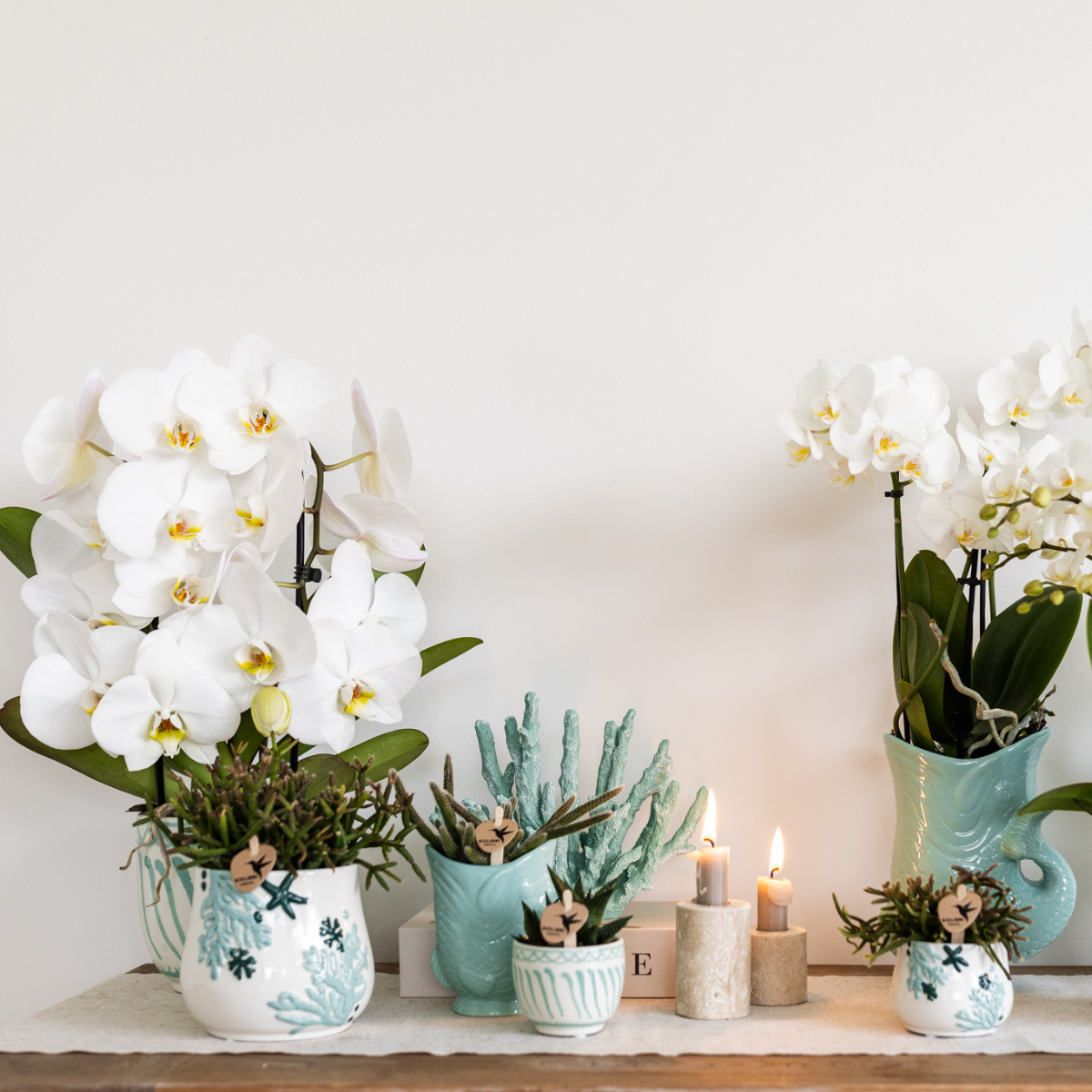 Kolibri Home | Coral - Blue - Ø9cm - Afbeelding 3