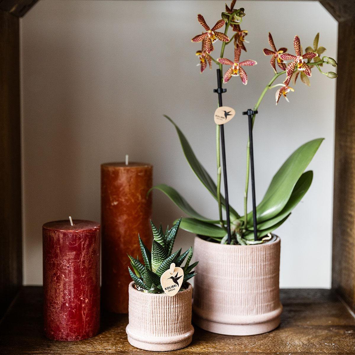 Kolibri Home | Bali sierpot - Sand - Ø6cm - Afbeelding 7