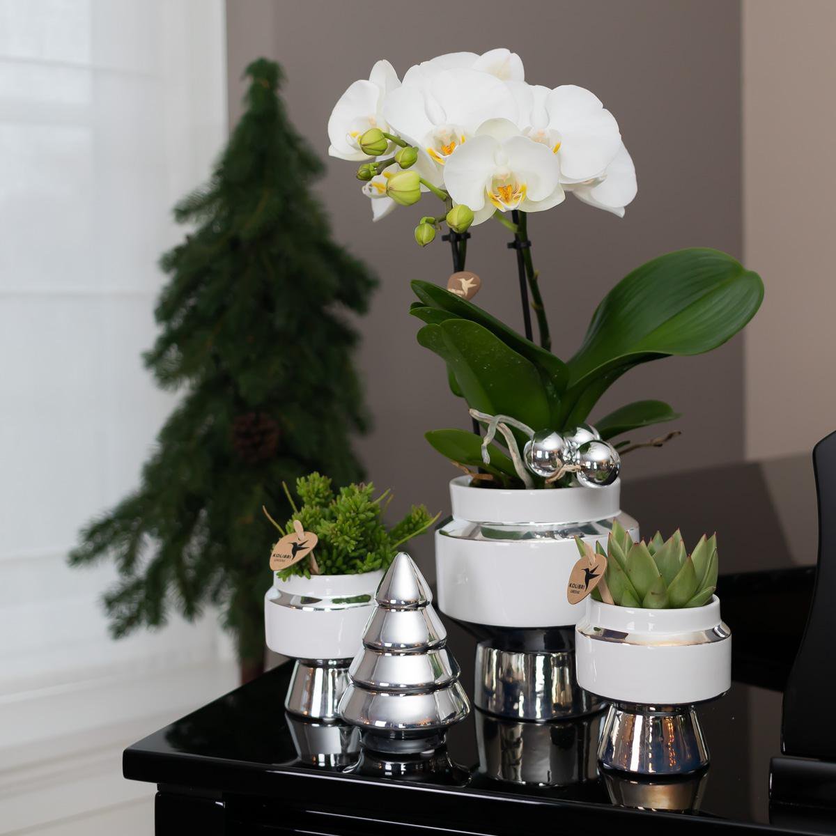 Kolibri Home | Le Chic bloempot - Witte keramieken sierpot met zilveren details - Ø6cm - Afbeelding 4