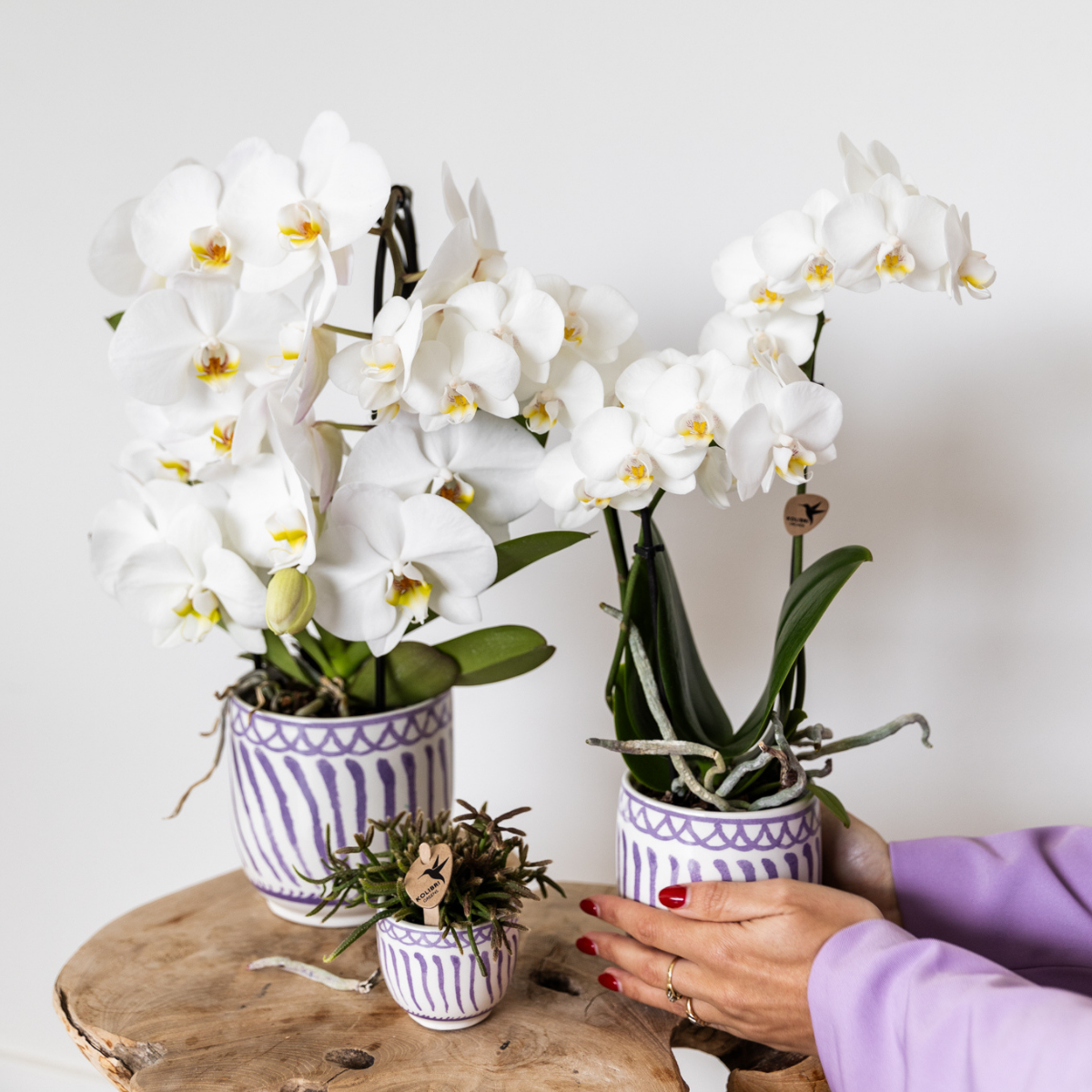 Kolibri Home | Granada - Lilac - Ø6cm - Afbeelding 5