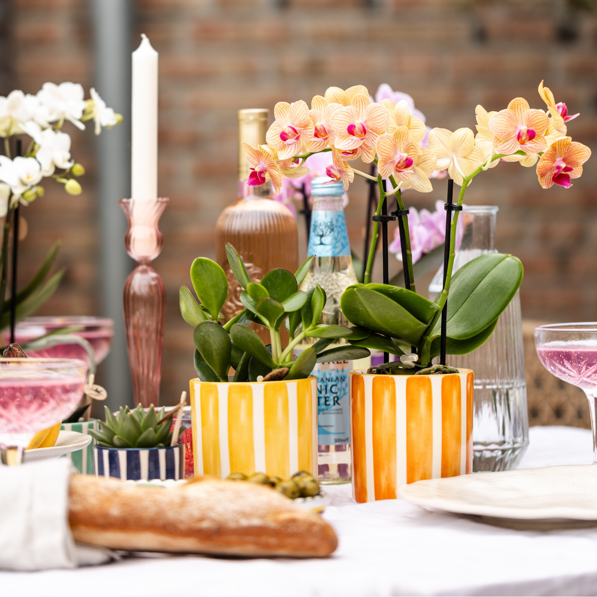 Kolibri Home | Painted stripe - Orange - Ø9cm - Afbeelding 6