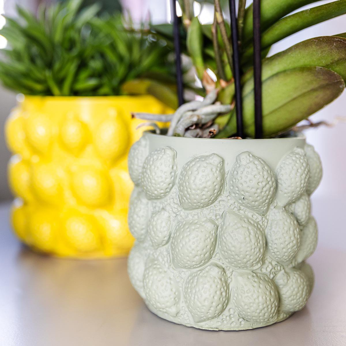 Kolibri Home | Citrus pot groen - Ø9cm - Afbeelding 3