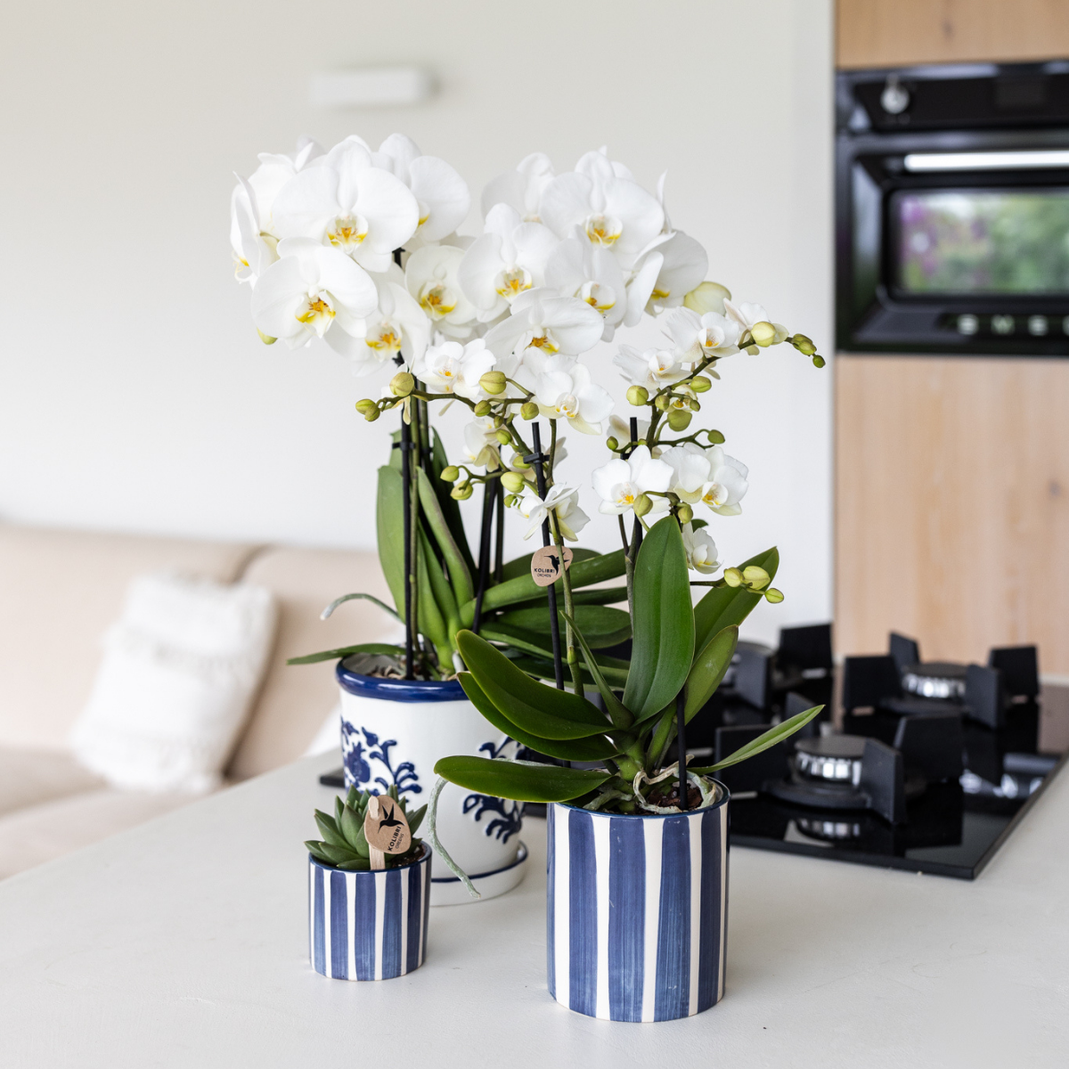 Kolibri Home | Painted stripe - Blue - Ø6cm - Afbeelding 3