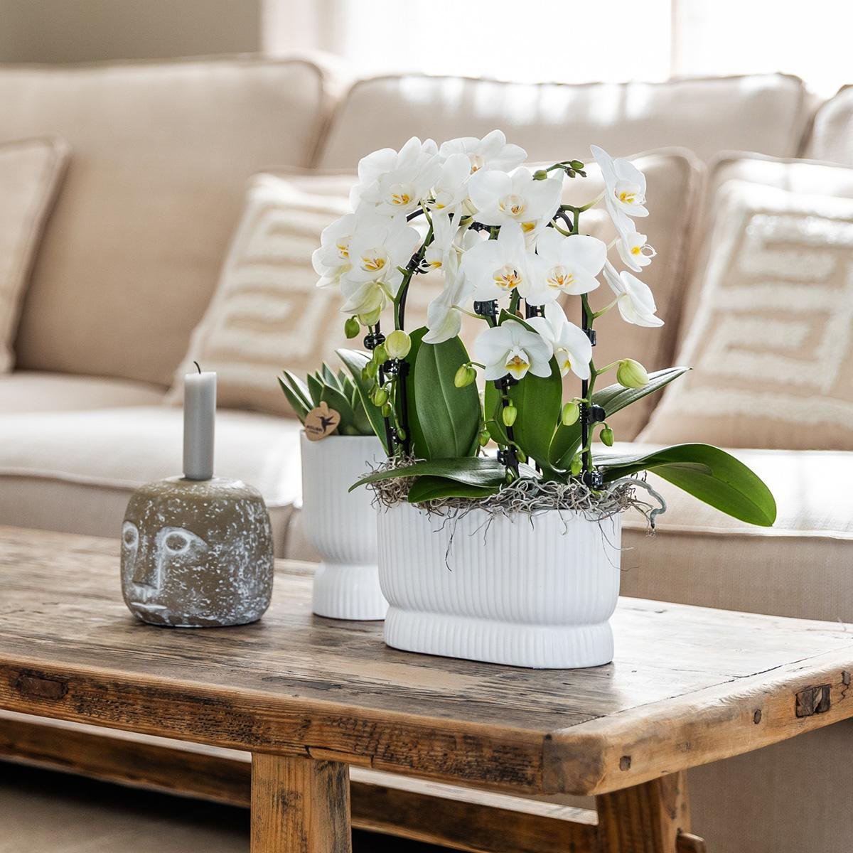 Kolibri Home | Diabolo pot white - Ø6cm - Afbeelding 3