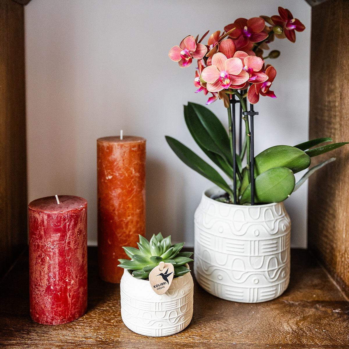 Kolibri Home | Hieroglyph sierpot - Off White - Ø9cm - Afbeelding 2