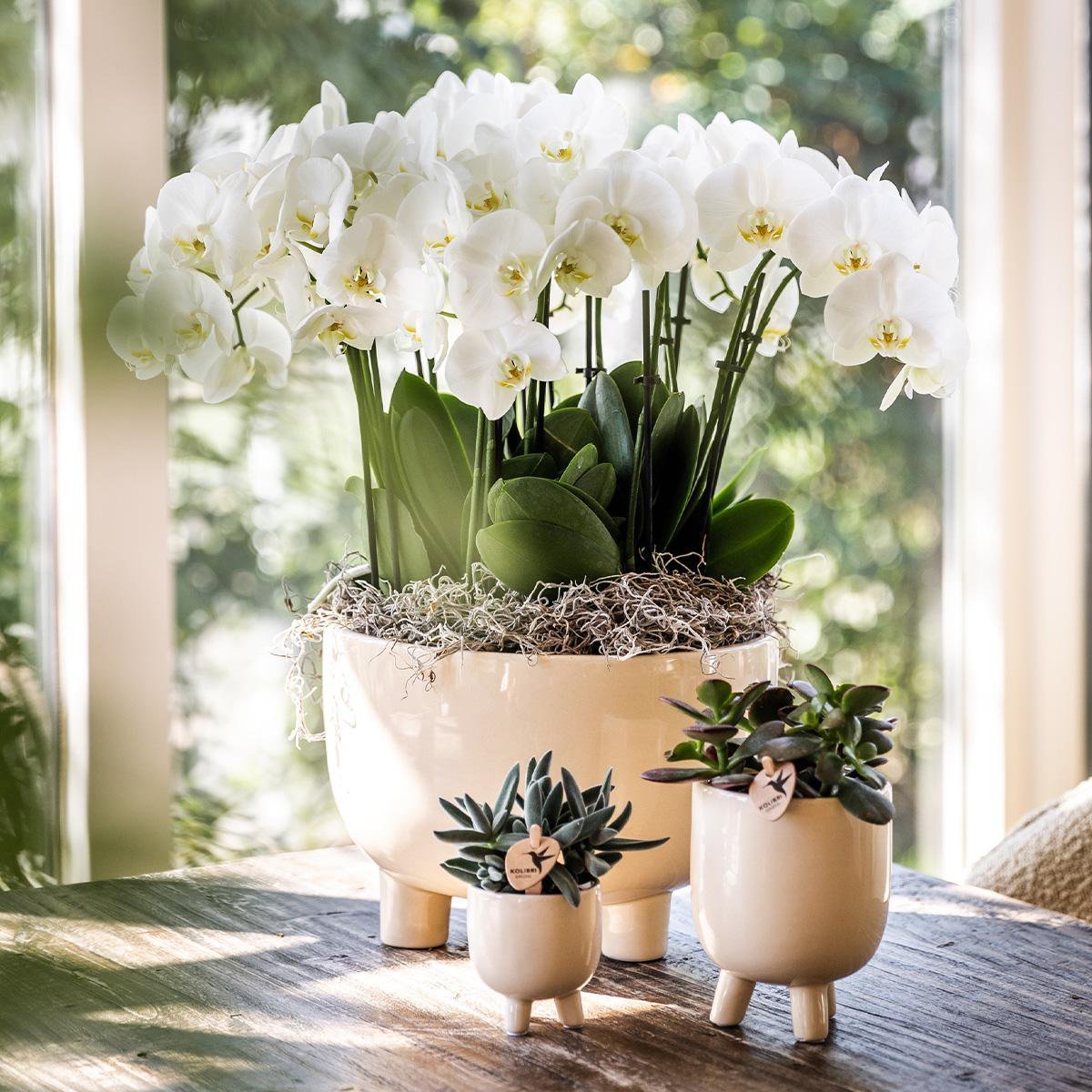 Kolibri Home | Combi deal - Gummy travertine potten - Afbeelding 4