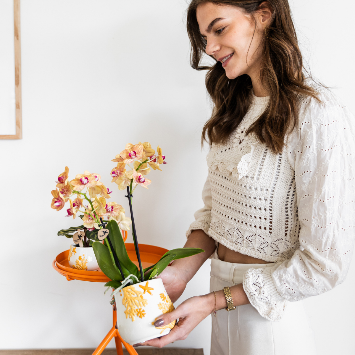 Kolibri Company - Plantenset Koraal Oranje | Set met oranje Phalaenopsis orchidee Jamaica Ø9cm en groene plant Calathea Ø6cm | incl. oranje keramieken sierpotten - Afbeelding 4