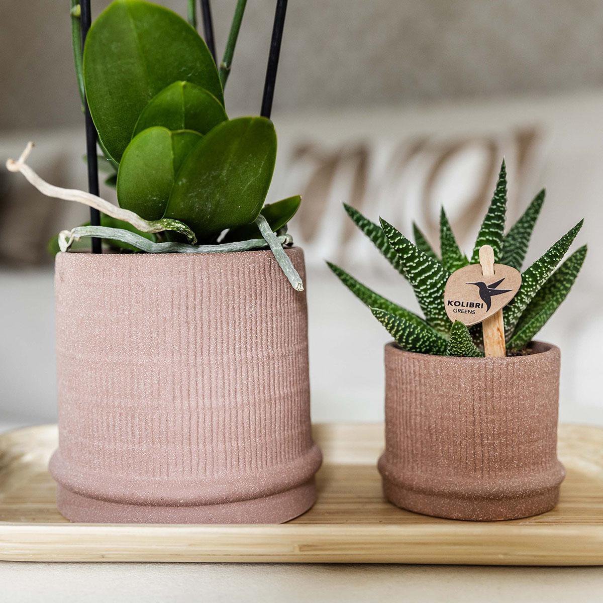 Kolibri Home | Bali sierpot - Sand - Ø6cm - Afbeelding 10