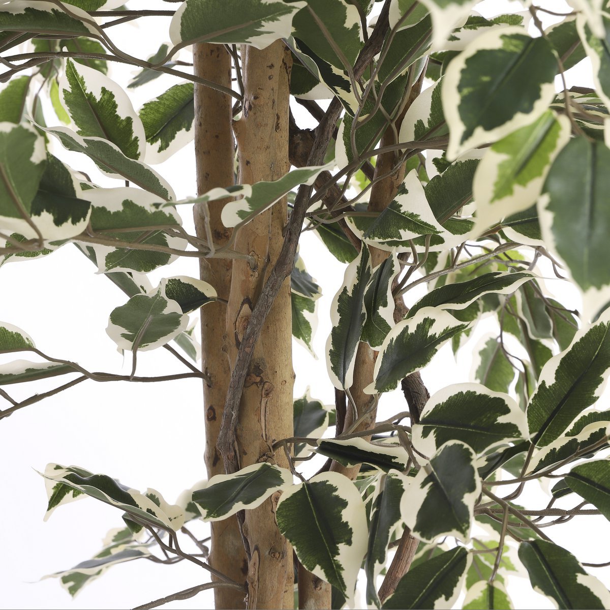 Ficus Kunstplant - H180 x Ø90 cm - Groen Bont - Afbeelding 4