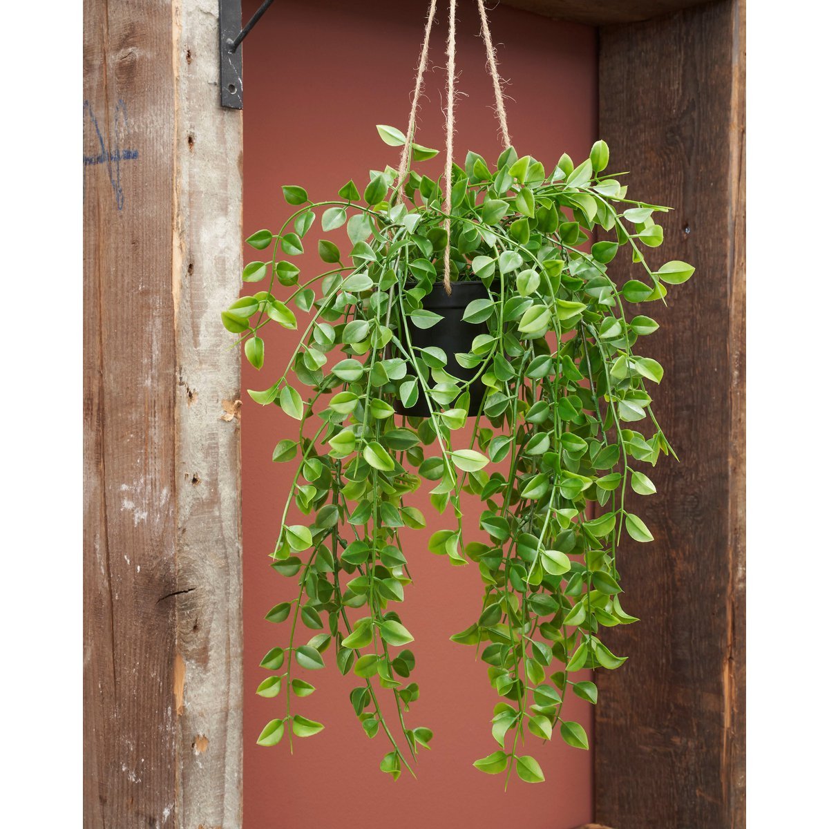Ficus Kunst Hangplant - H81 cm - Groen - Afbeelding 6