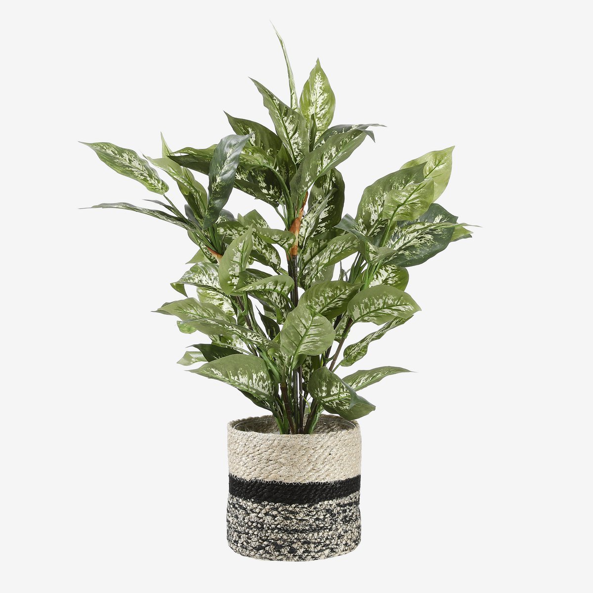 Dieffenbachia Kunstplant in Bloempot Stan - H70 x Ø55 cm - Groen - Afbeelding 6