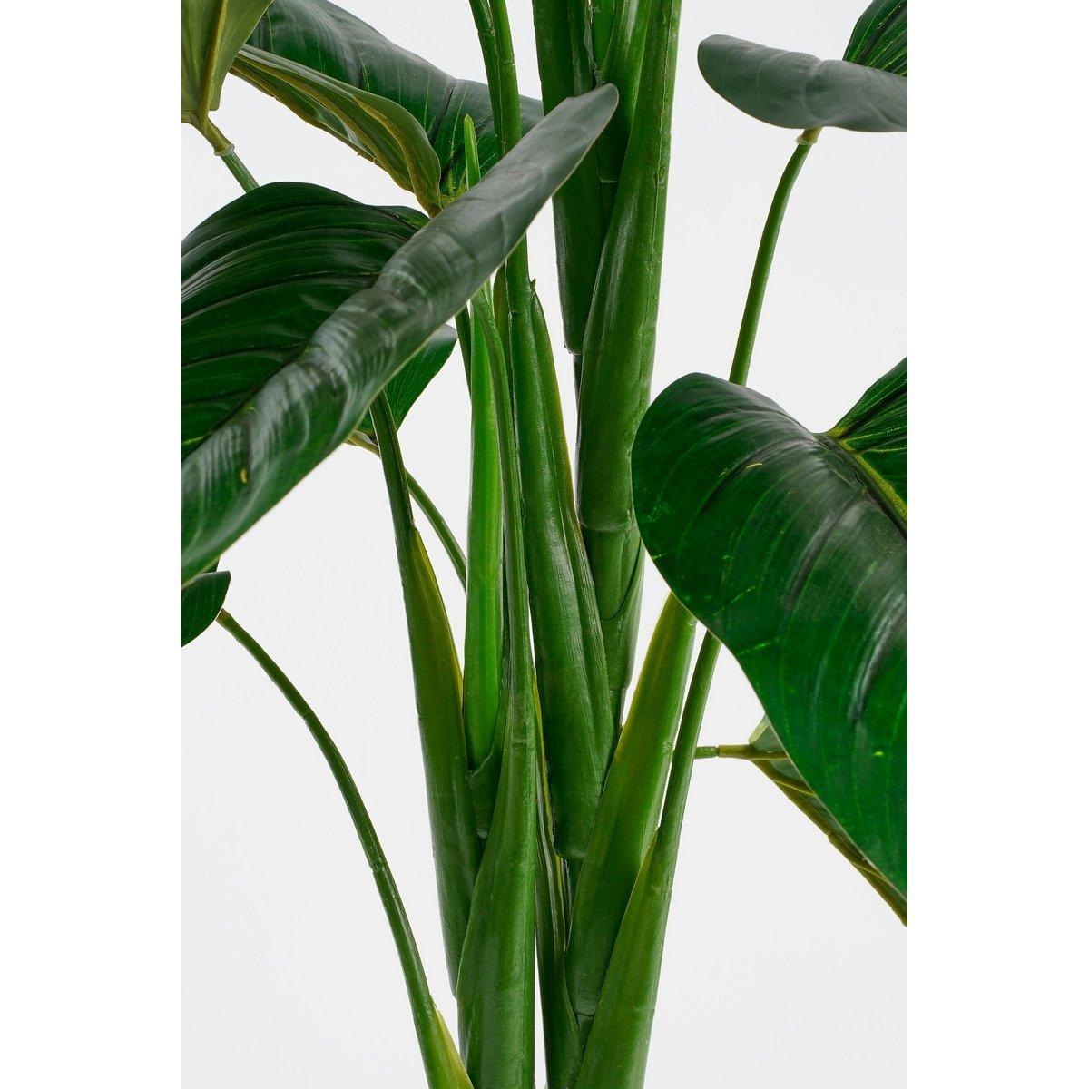 Philodendron Kunstplant - H100x Ø70 cm - Groen - Afbeelding 4