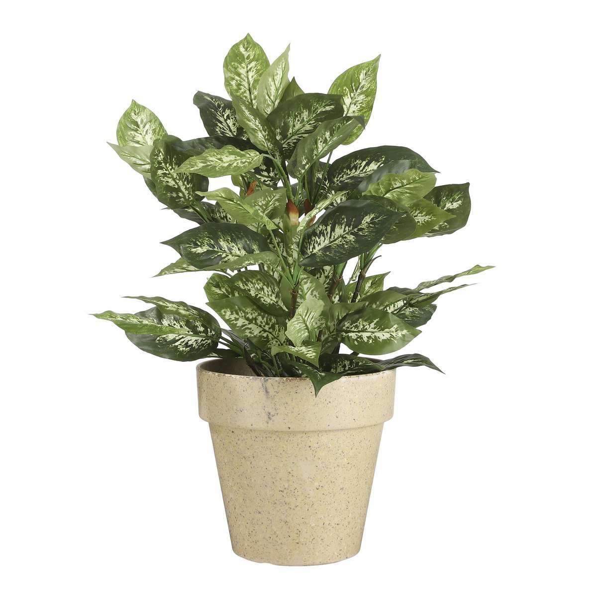 Dieffenbachia Kunstplant in Bloempot Stan - H70 x Ø55 cm - Groen - Afbeelding 5