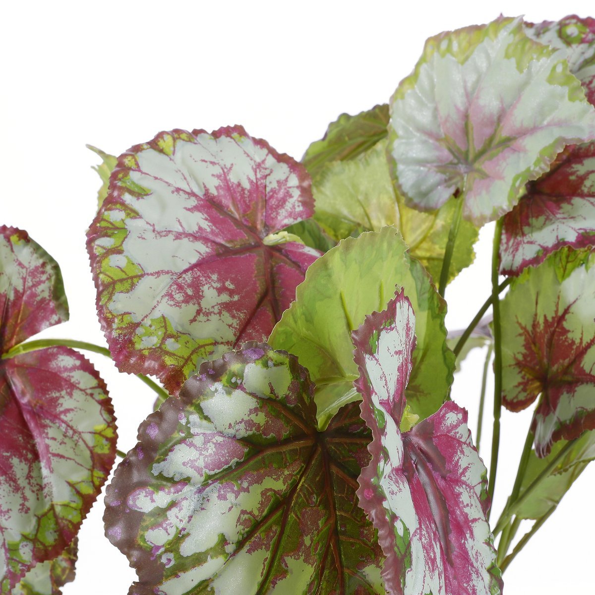 Begonia Kunstplant in Bloempot Stan - H40 x Ø38 cm - Rood - Afbeelding 4