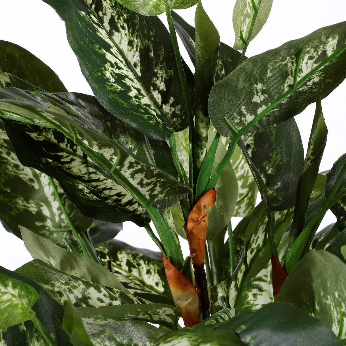 Dieffenbachia Kunstplant in Bloempot Stan - H70 x Ø55 cm - Groen - Afbeelding 4