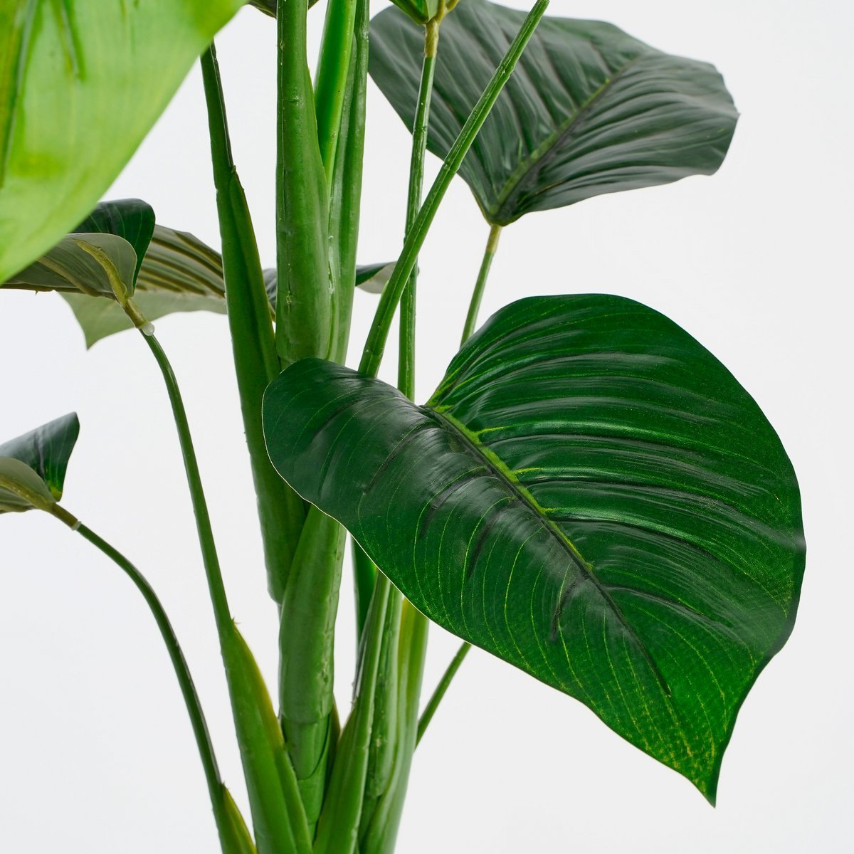 Philodendron Kunstplant - H100x Ø70 cm - Groen - Afbeelding 3